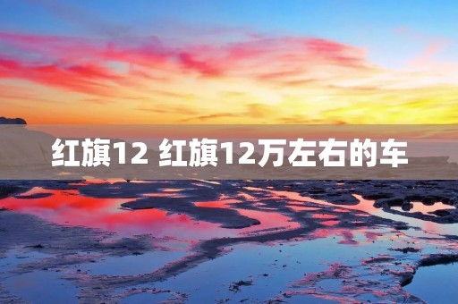红旗12 红旗12万左右的车