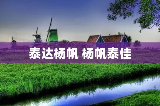 泰达杨帆 杨帆泰佳 泰达杨帆 杨帆泰佳