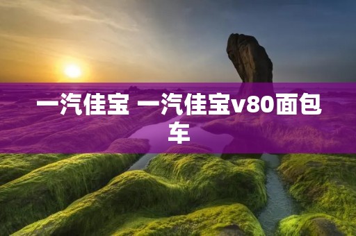 一汽佳宝 一汽佳宝v80面包车
