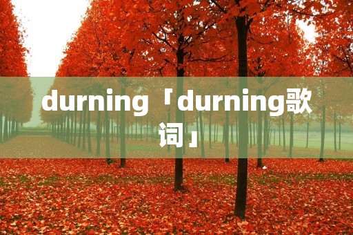 durning「durning歌词」 durning「durning歌词」