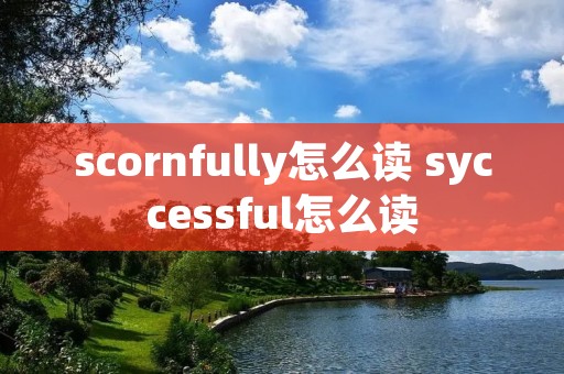 scornfully怎么读 syccessful怎么读