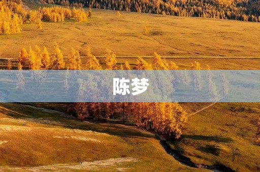 陈梦:中国乒乓球女将的传奇 陈梦:中国乒乓球女将的传奇