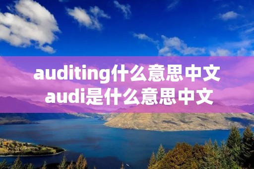 auditing什么意思中文 audi是什么意思中文