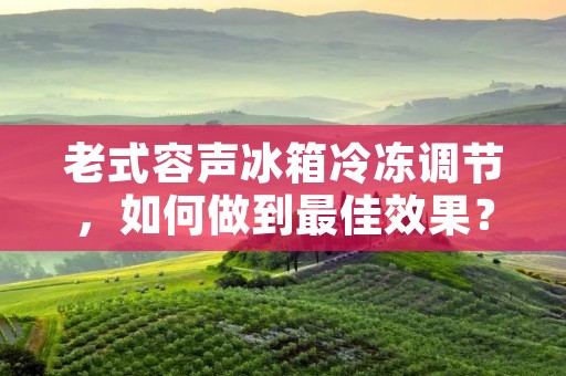 老式容声冰箱冷冻调节，如何做到最佳效果？