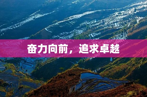 奋力向前，追求卓越