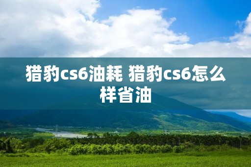 猎豹cs6油耗 猎豹cs6怎么样省油