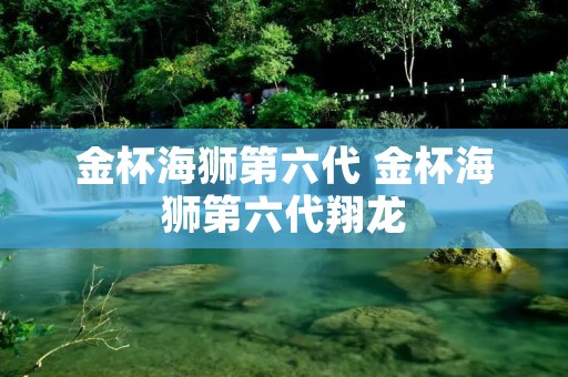 金杯海狮第六代 金杯海狮第六代翔龙