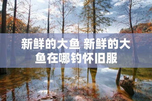 新鲜的大鱼 新鲜的大鱼在哪钓怀旧服