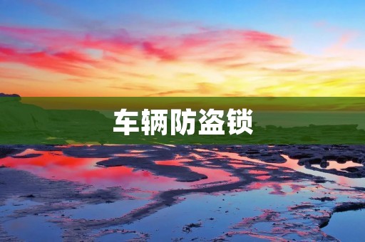 车辆防盗锁:保护您的爱车安全 车辆防盗锁:保护您的爱车安全