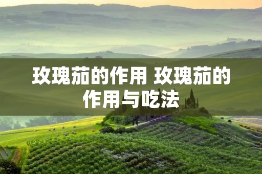 玫瑰茄的作用 玫瑰茄的作用与吃法