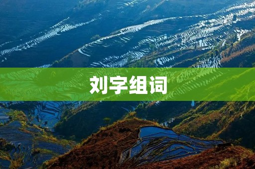 刘字组词:探索刘姓文化的深度与广度