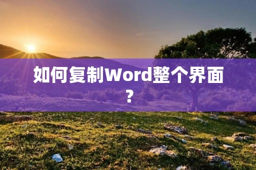 如何复制Word整个界面?