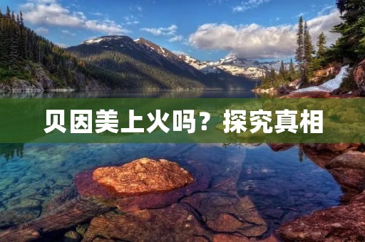 贝因美上火吗？探究真相