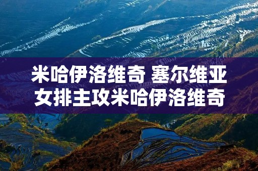米哈伊洛维奇 塞尔维亚女排主攻米哈伊洛维奇 米哈伊洛维奇 塞尔维亚女排主攻米哈伊洛维奇