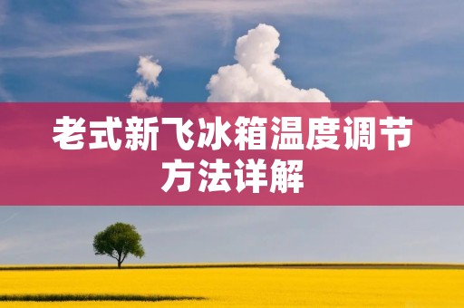 老式新飞冰箱温度调节方法详解