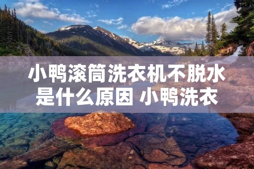 小鸭滚筒洗衣机不脱水是什么原因 小鸭洗衣机不脱水了怎么办