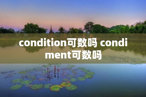 condition可数吗 condiment可数吗