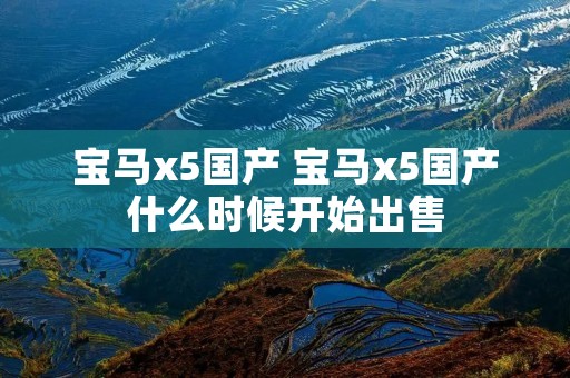 宝马x5国产 宝马x5国产什么时候开始出售
