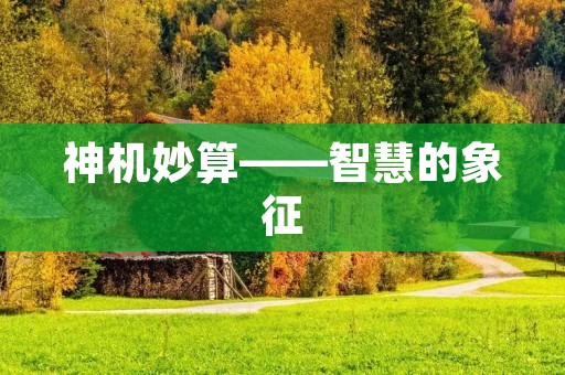 神机妙算——智慧的象征