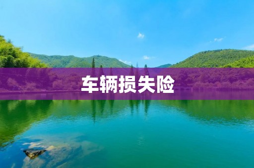 车辆损失险:保障您的爱车安全 车辆损失险:保障您的爱车安全