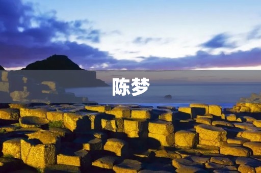 陈梦：中国女子乒乓球运动员个人资料