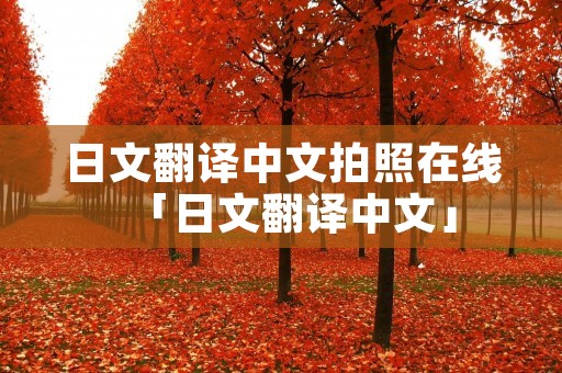 日文翻译中文拍照在线「日文翻译中文」