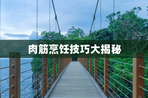 肉筋烹饪技巧大揭秘：让你的菜肴口感更佳！