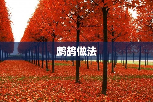 鹧鸪做法:红烧鹧鸪 鹧鸪做法:红烧鹧鸪
