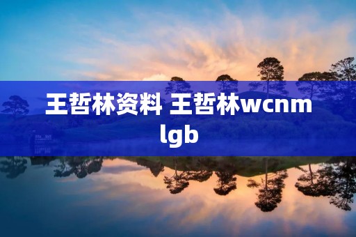 王哲林资料 王哲林wcnmlgb