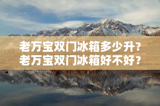 老万宝双门冰箱多少升？老万宝双门冰箱好不好？