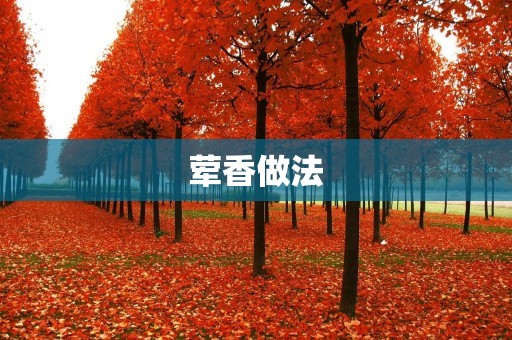 荤香做法:让你的菜肴更加美味 荤香做法:让你的菜肴更加美味