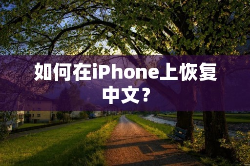 如何在iPhone上恢复中文?