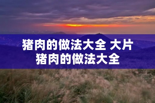 猪肉的做法大全 大片猪肉的做法大全 猪肉的做法大全 大片猪肉的做法大全