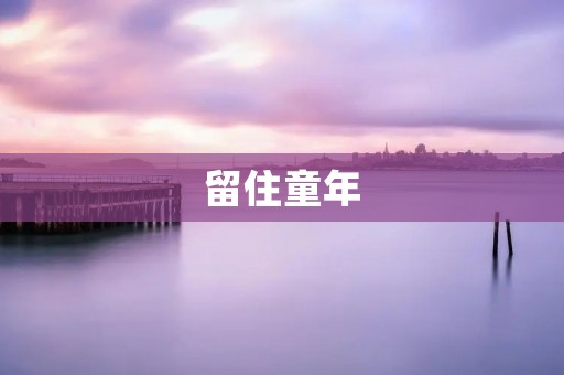 留住童年：如何让孩子拥有快乐的成长