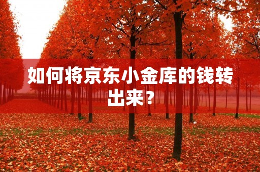 如何将京东小金库的钱转出来?