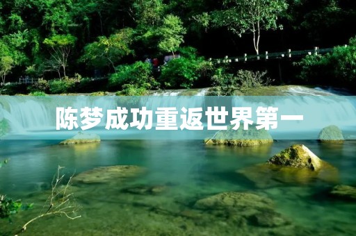 陈梦成功重返世界第一：一位顶尖乒乓球运动员的故事