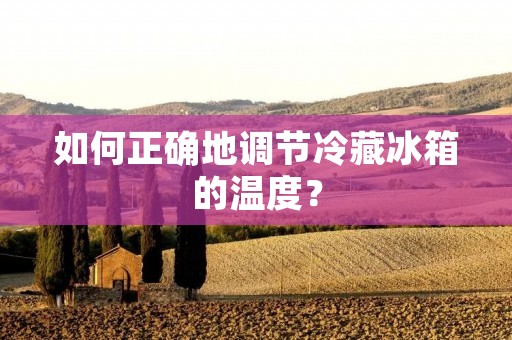 如何正确地调节冷藏冰箱的温度？