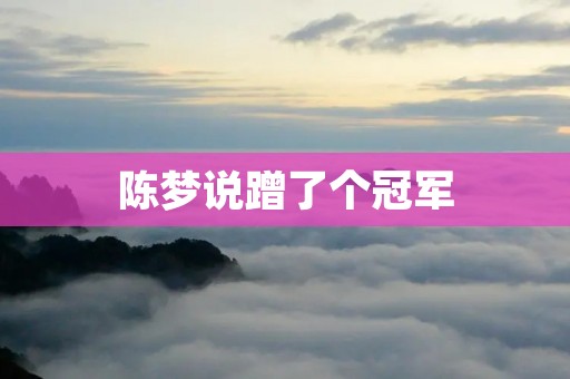 陈梦说蹭了个冠军:解读她的话语背后的真相 陈梦说蹭了个冠军:解读她的话语背后的真相