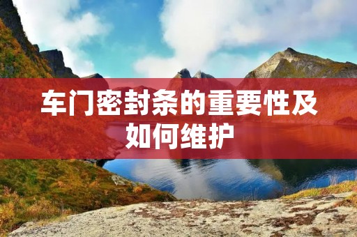 车门密封条的重要性及如何维护