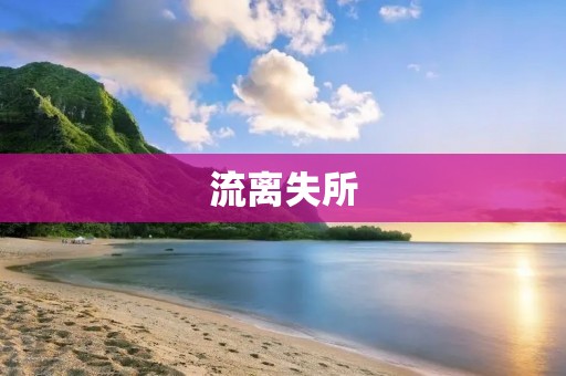 流离失所：流浪者的无奈