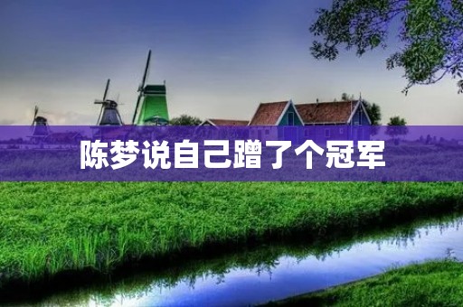 陈梦说自己蹭了个冠军：揭秘运动员背后的心酸故事
