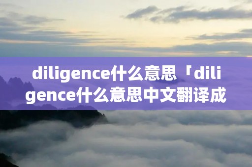 diligence什么意思「diligence什么意思中文翻译成」