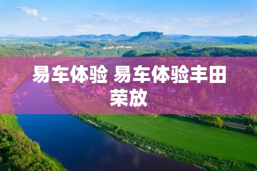 易车体验 易车体验丰田荣放