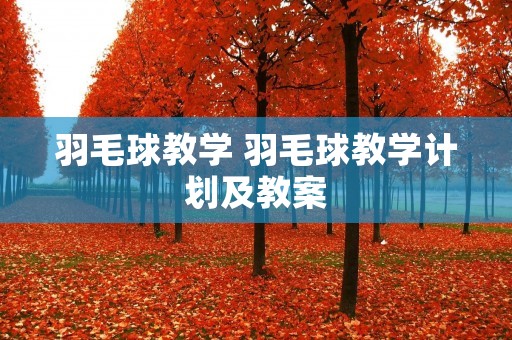 羽毛球教学 羽毛球教学计划及教案