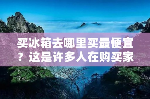 买冰箱去哪里买最便宜？这是许多人在购买家电时经常会遇到的问题。当我们需要购买冰箱时，我们通常会去家电专卖店或者电商平台，但是在这些地方购买冰箱是否真的最便宜呢？下面我们来一起探讨一下。