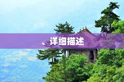 、详细描述