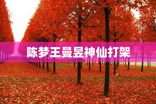 陈梦王曼昱神仙打架:乒乓球女单世界杯决赛引发的争议 陈梦王曼昱神仙打架:乒乓球女单世界杯决赛引发的争议