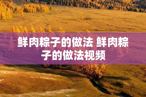 鲜肉粽子的做法 鲜肉粽子的做法视频 鲜肉粽子的做法 鲜肉粽子的做法视频