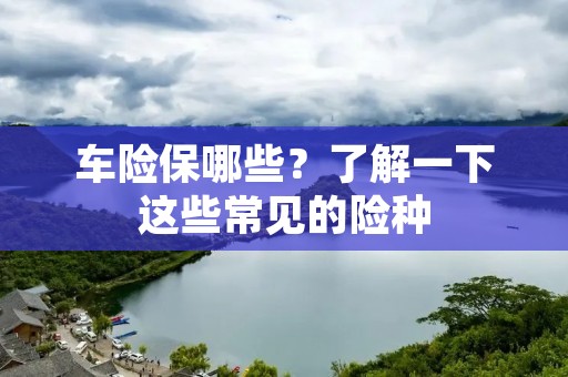 车险保哪些?了解一下这些常见的险种 车险保哪些?了解一下这些常见的险种
