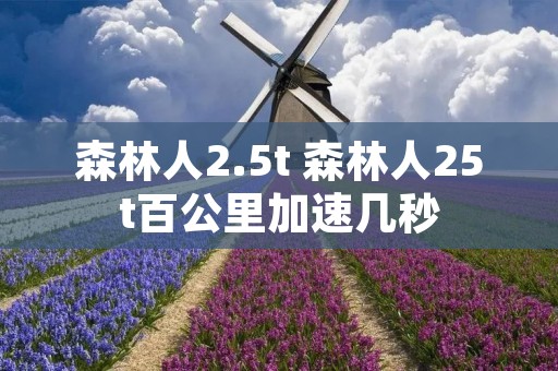 森林人2.5t 森林人25t百公里加速几秒 森林人2.5t 森林人25t百公里加速几秒